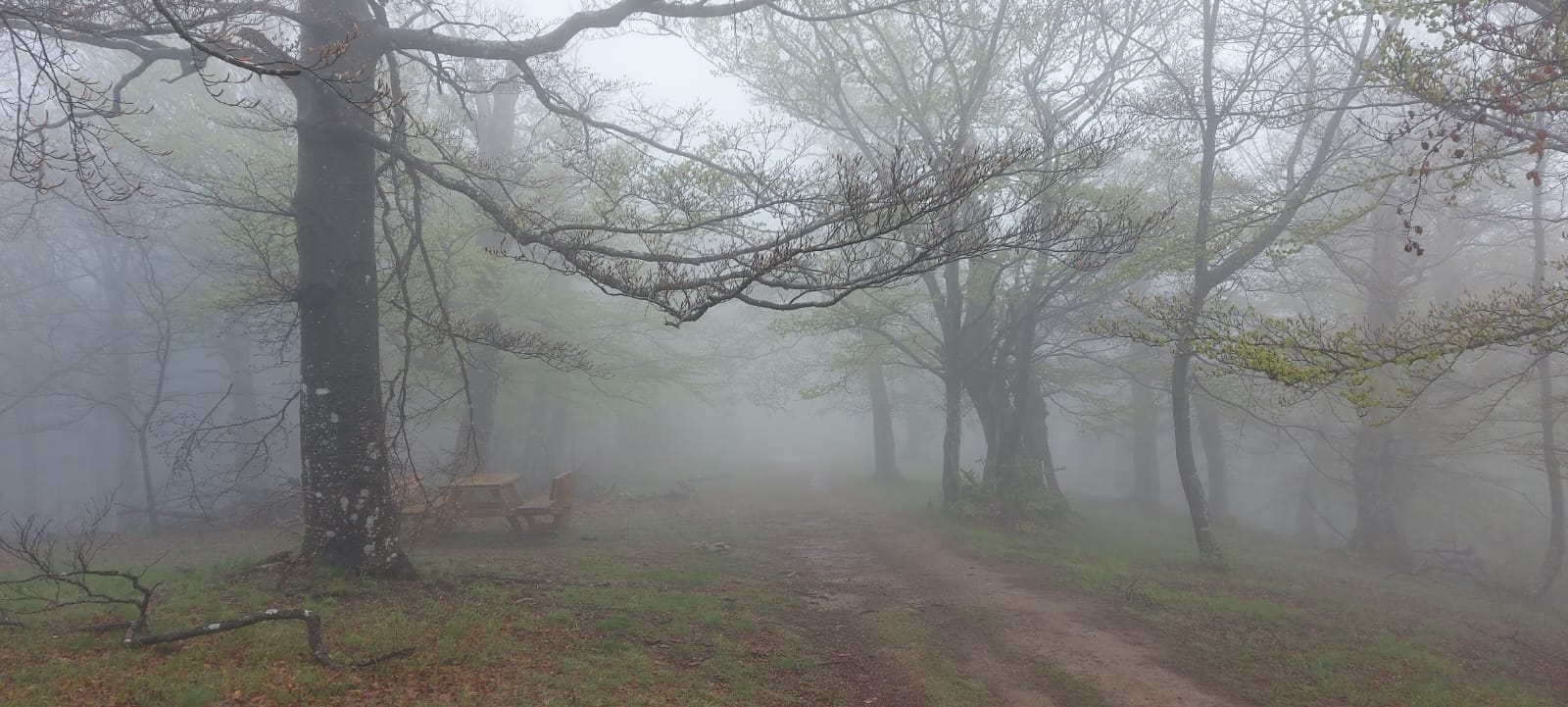 I Faggi di Javello