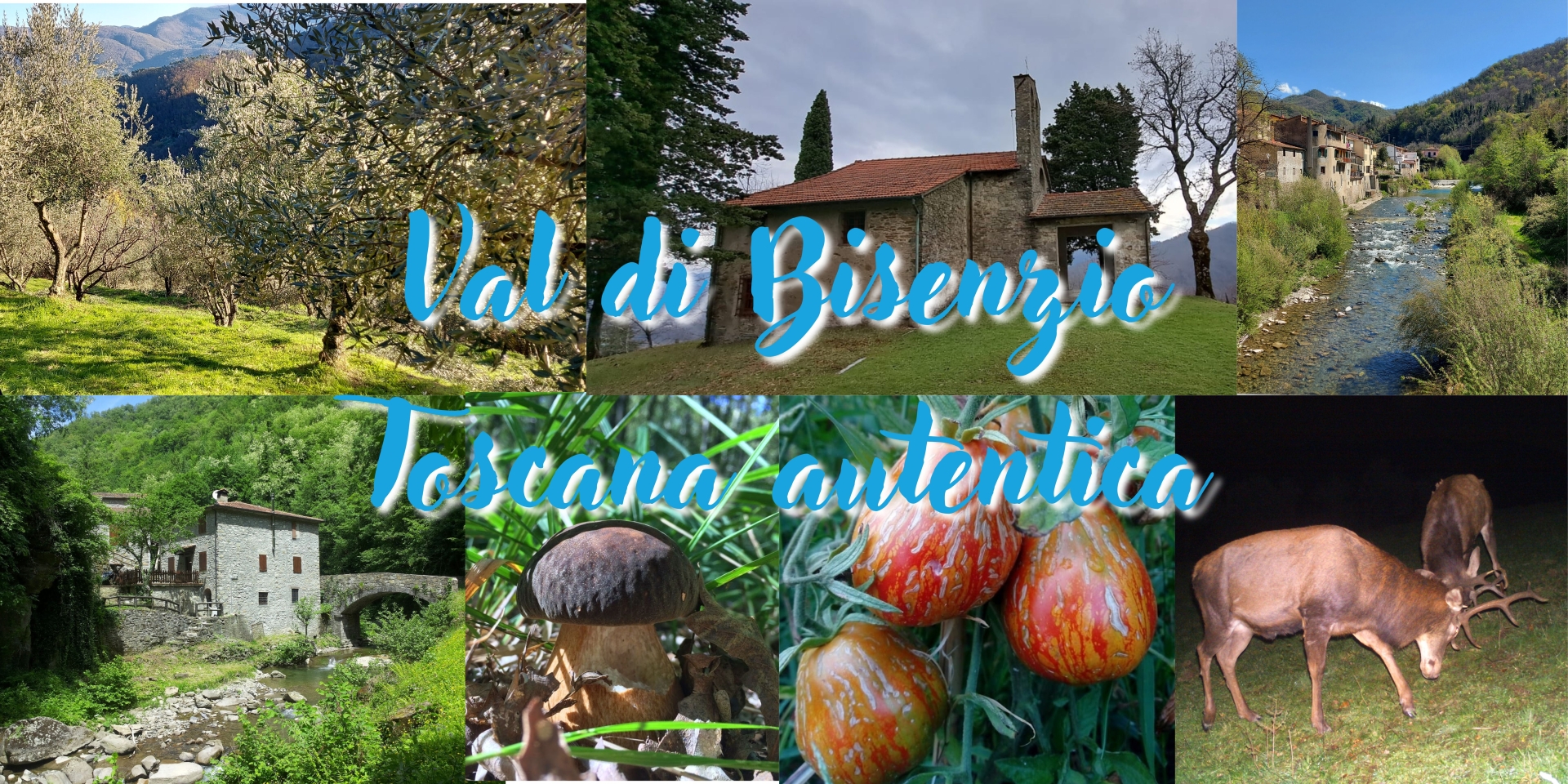 Val di Bisenzio Toscana autentica(15)