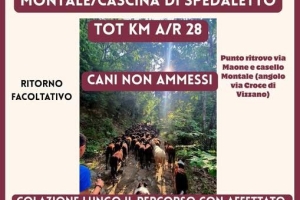 TRANSUMANZA CON LE PECORE - Montale/Cascina Spedaletto 13/06/26 ore 6.30