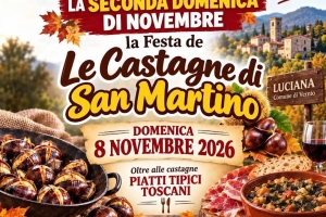 LE CASTAGNE DI S.MARTINO - Luciana Vernio - 8/11/26