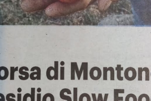 BORSA DI MONTONE - Comune di Vernio  - Presentazione presidio 17/10/26  ore 16.00