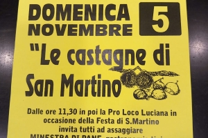 Le castagne di S.Martino 5 Novembre Luciana Vernio