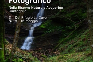 WORKSHOP FOOTOGRAFICO - Riserva Acquerino Cantagallo - 9 e 10/5/26