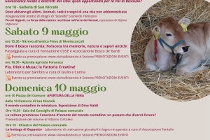 ANTICA FIERA DI S.GIUSEPPE -Vernio - 8-9-10 maggio 26