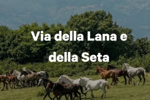 VIA DELLA LANA E DELLA SETA - V Tappa 11/10/25 ore 8.30
